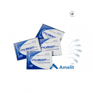 Матеріал Pro Root MTA для закриття перфорацій (Dentsply Maillefer), 0.5 г